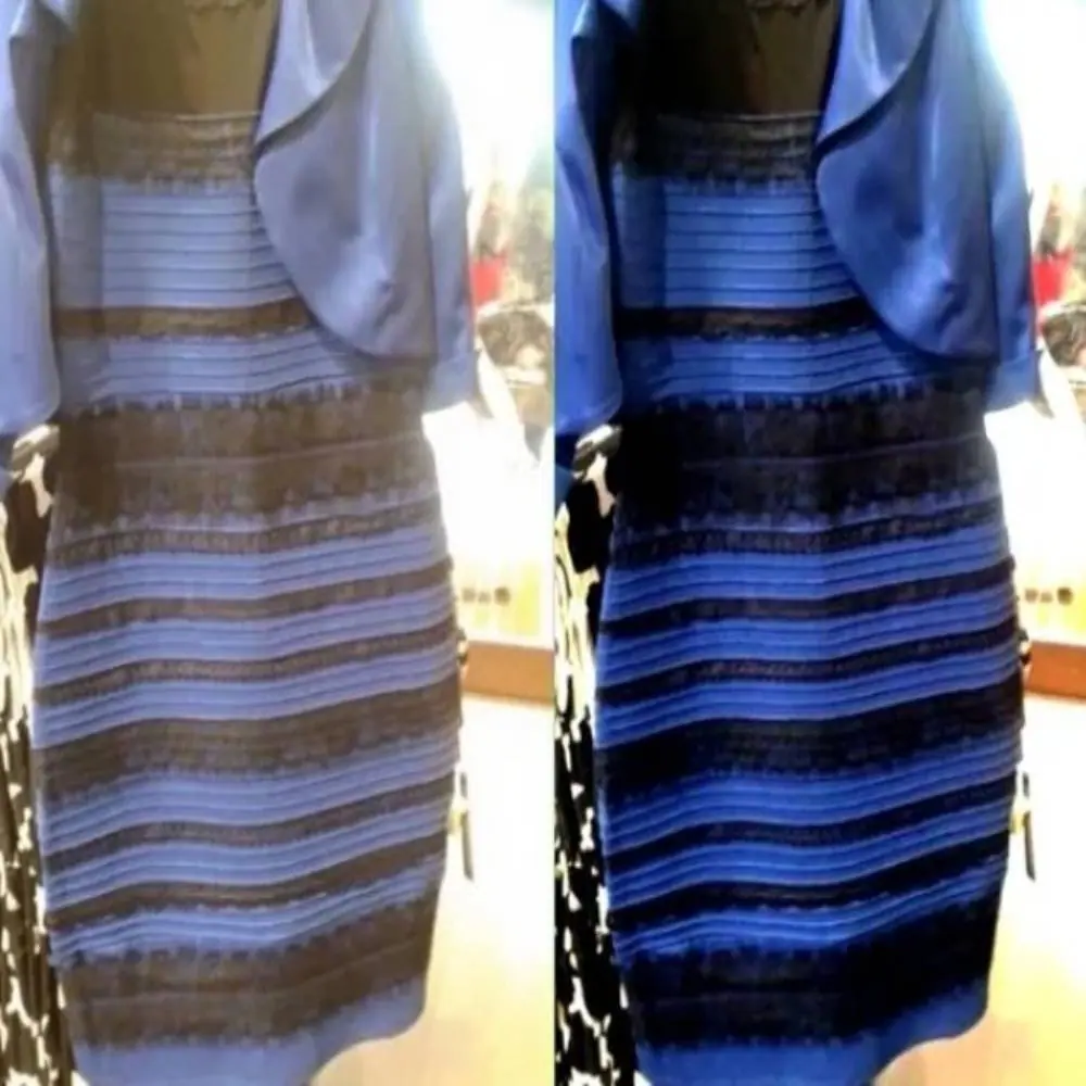 Yanny vs Laurel album artwork