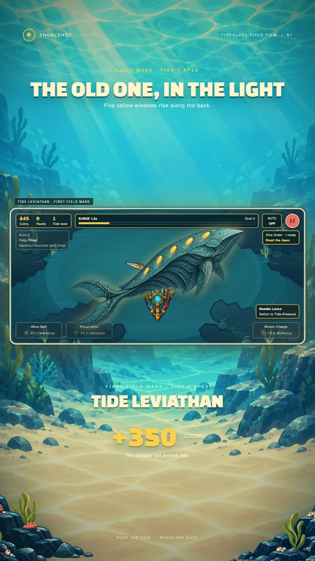 Tideglass portrait hero